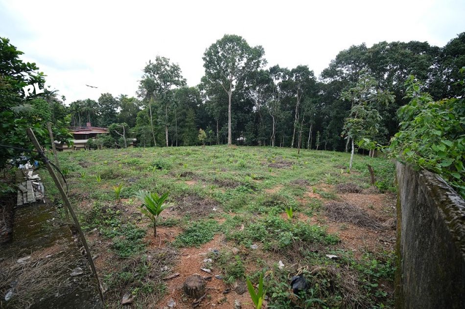 Residential Land For Sale