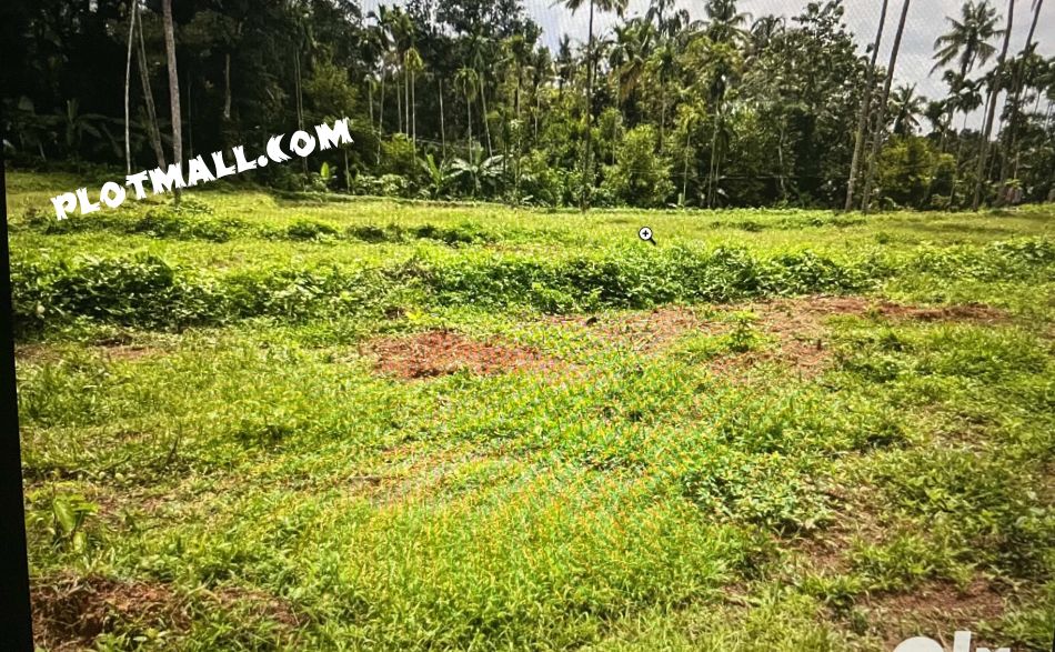 Residential Land For Sale