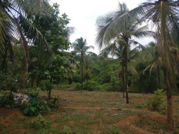 2.4 Acre Residential Land for Sale at Porur Budget - 82100 Cent