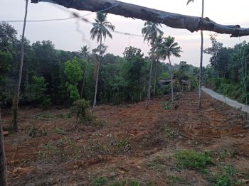 140 Cent Residential Land for Sale at Puthuppally Budget - 70000 Cent