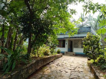14 Cent Residential Land for Sale at Kozhikode Budget - 1200000 Cent