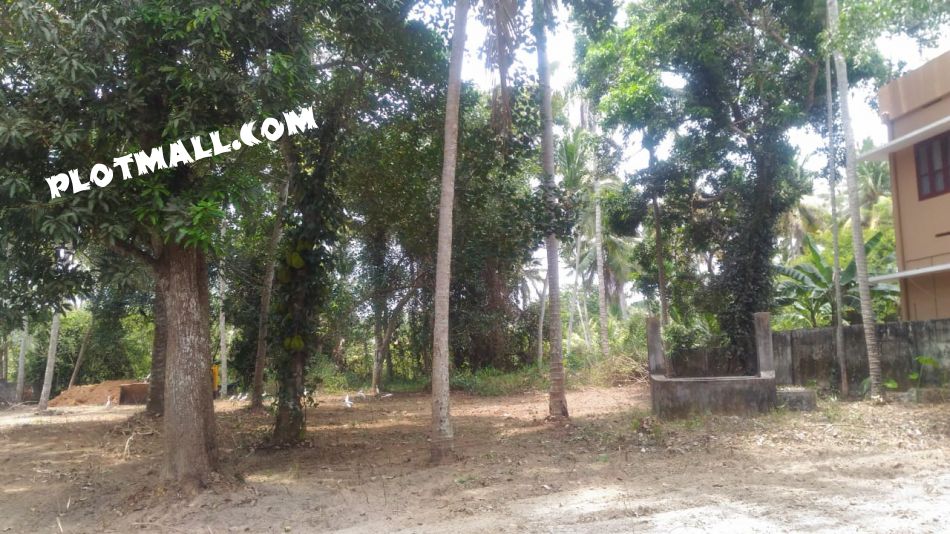 Residential Land For Sale