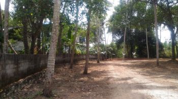 34 Cent Residential Land for Sale at Thiruvananthapuram Budget - 725000 Cent